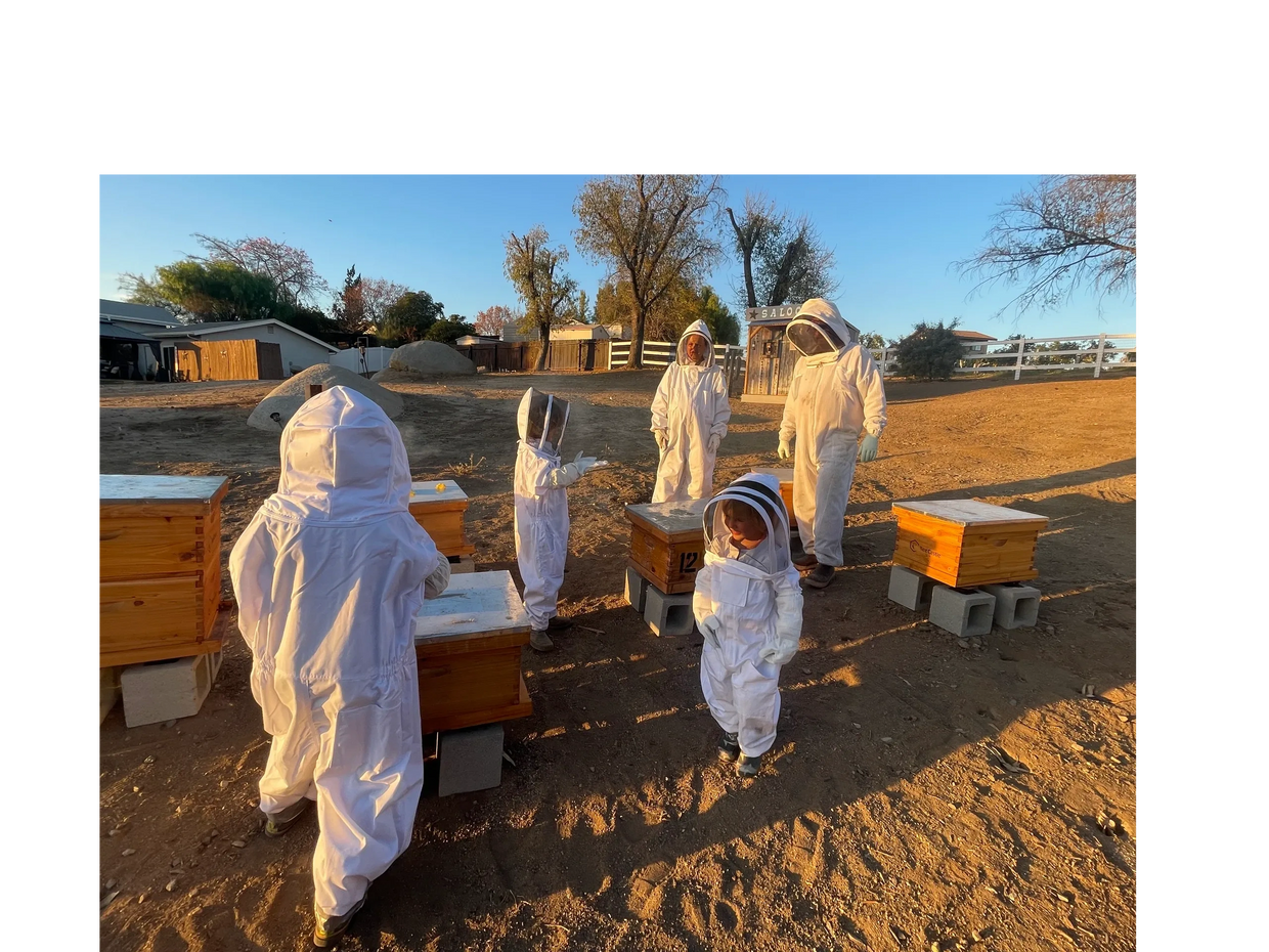 Honeybee Experience at Chick-Ranch with Honeybee Joe of Temecula