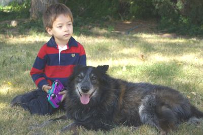 A boy sitting next to a black dog on the grass.