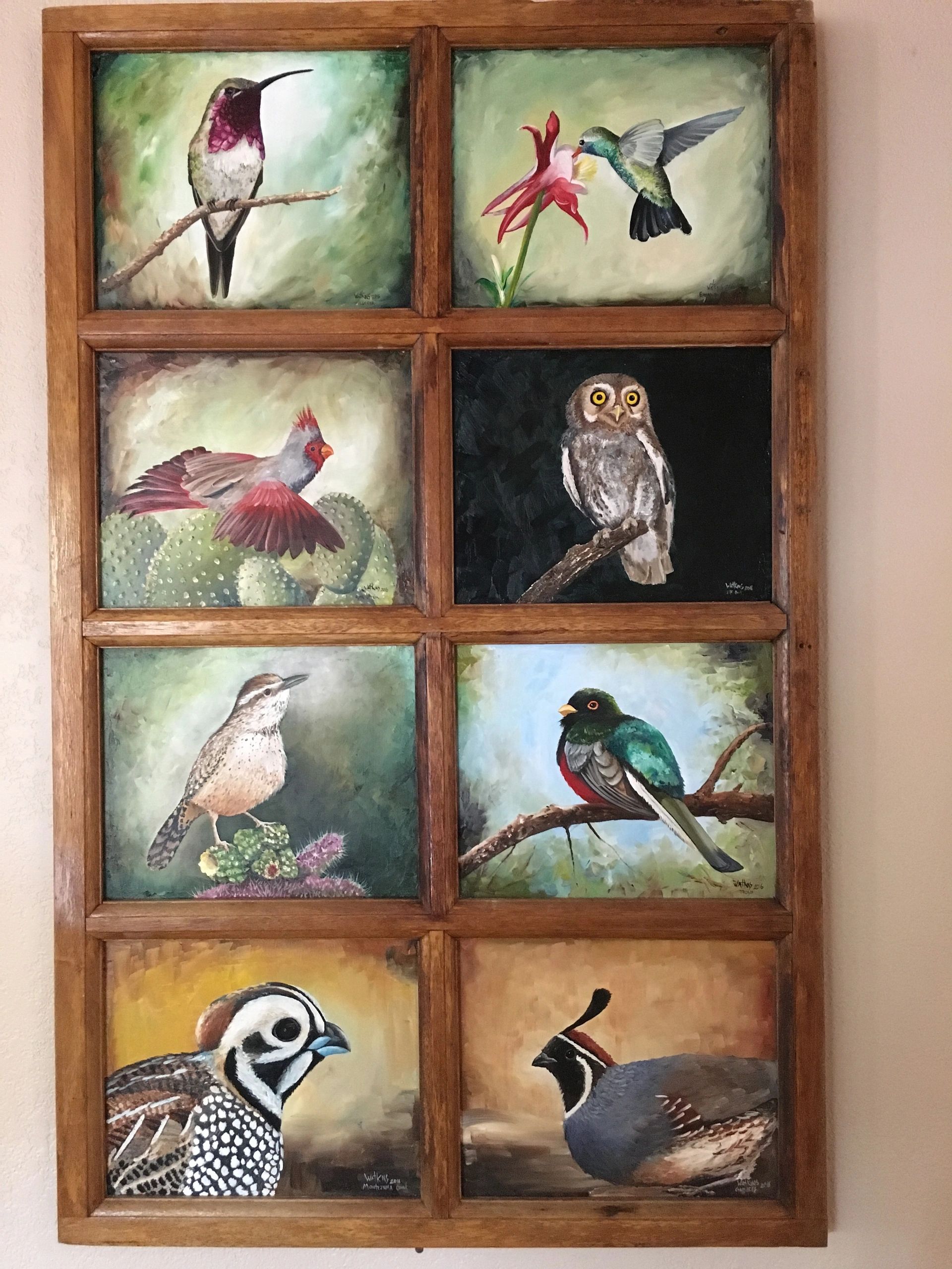 Battiste's Bed and Breakfast and Birds