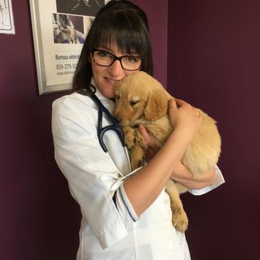 Dre Roxane P. Charbonneau avec un chiot Golden Retriever