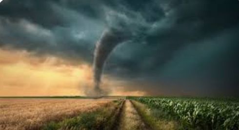 centralkystormshelters.com