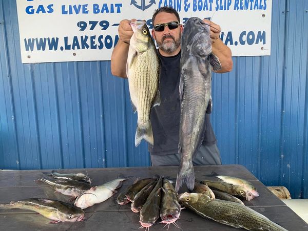 Man proudly displays two large fish with several others on the table.