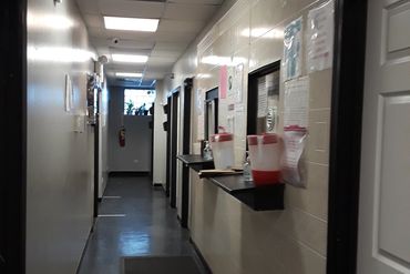 Schedule Intake