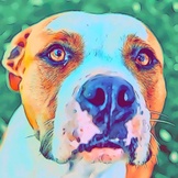 Ashley’s Here to Help