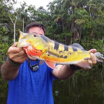 Kingfisher Motorized Fishing Kayak Jungle