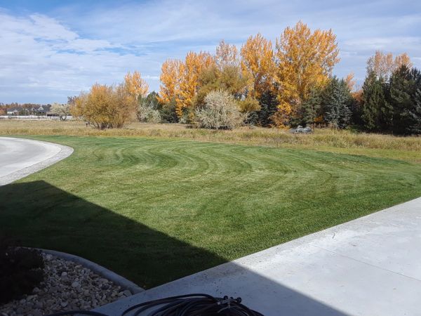 curved mow lines