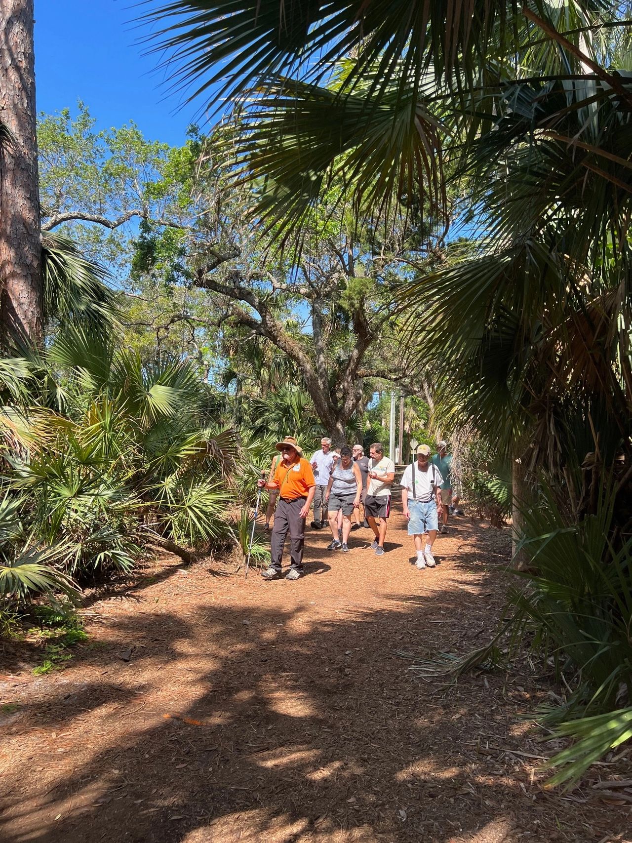 Walking across Bicentennial Park between the beach and the river.