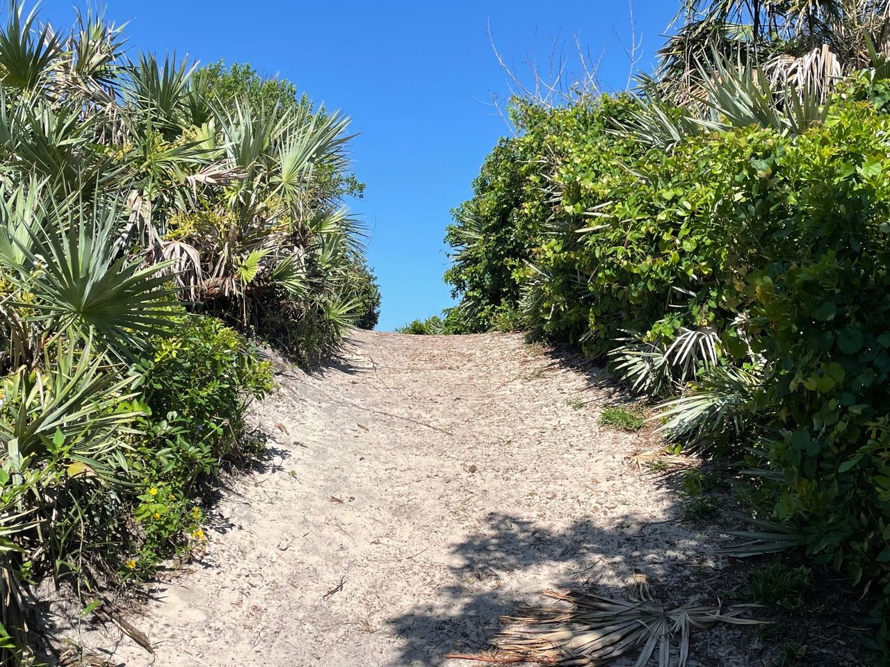 Trail from the front of the park to the 2nd parking lot.