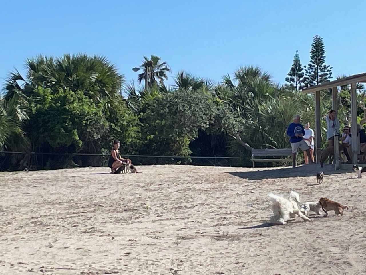 Small dog park