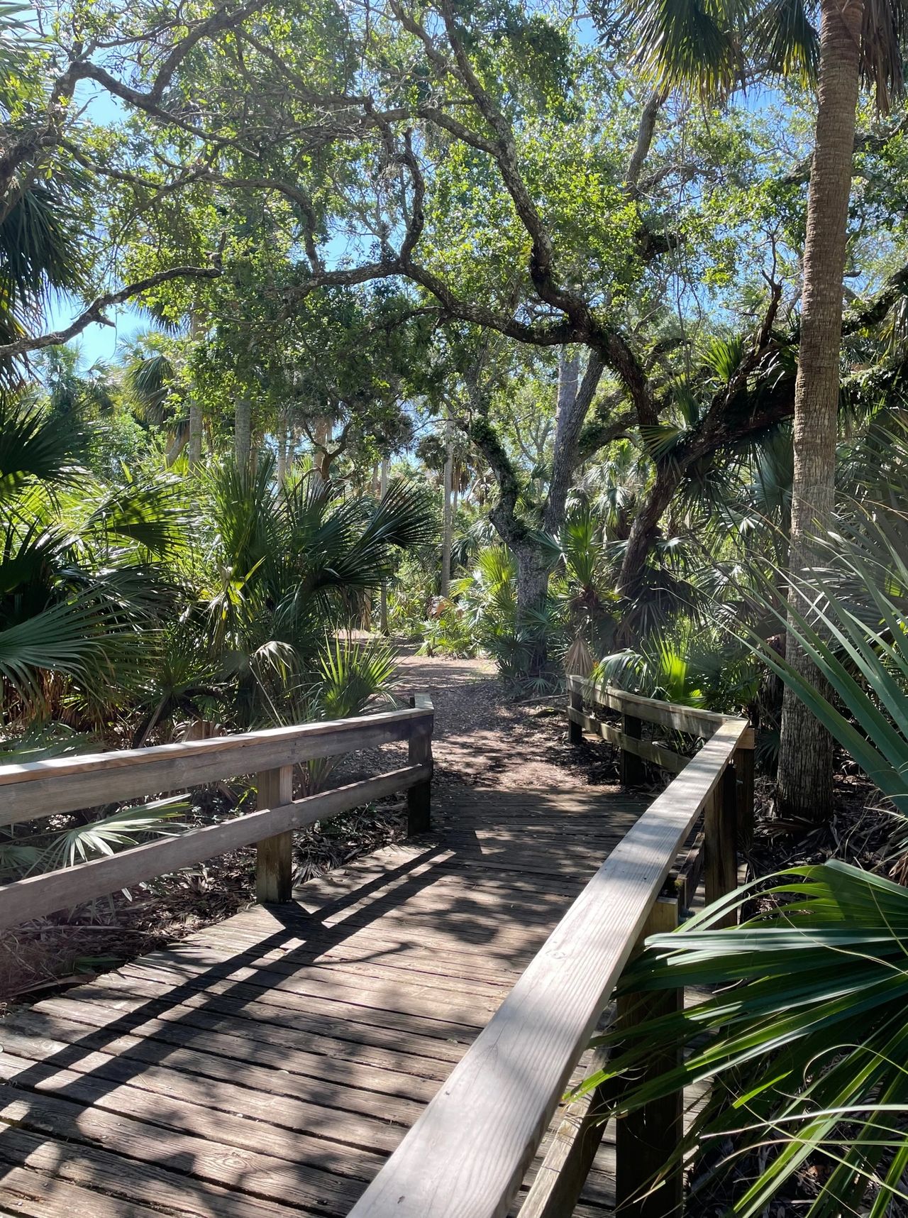 Boardwalk leading to the fishing dock