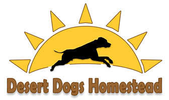 Desert Dogs Homestead