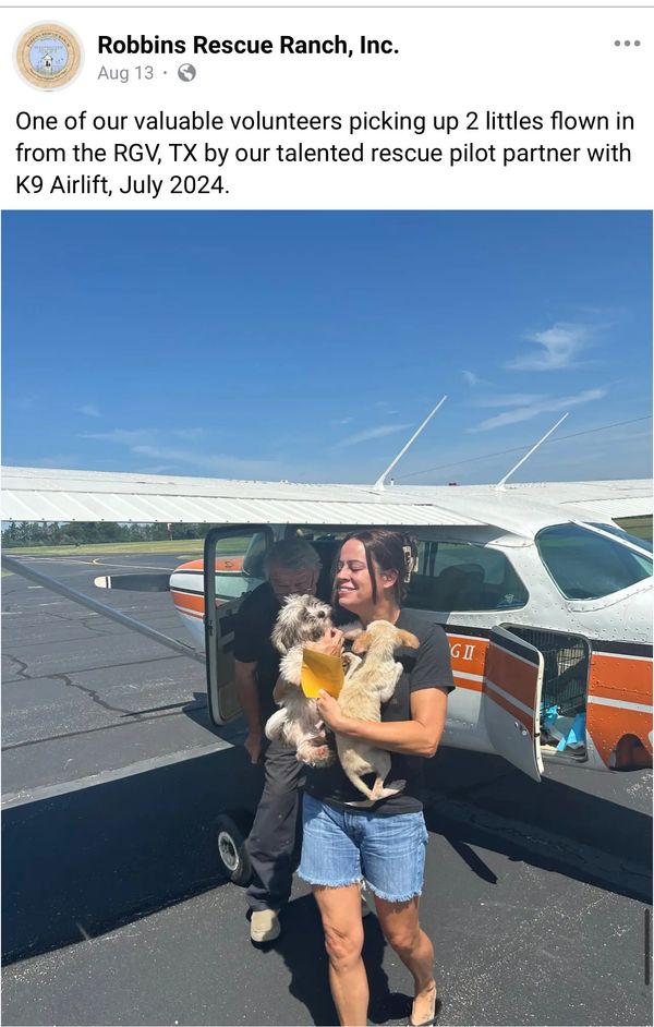Volunteer Rescue dogs Robbins Rescue Ranch Best dog rescue Adopt a rescue dog 