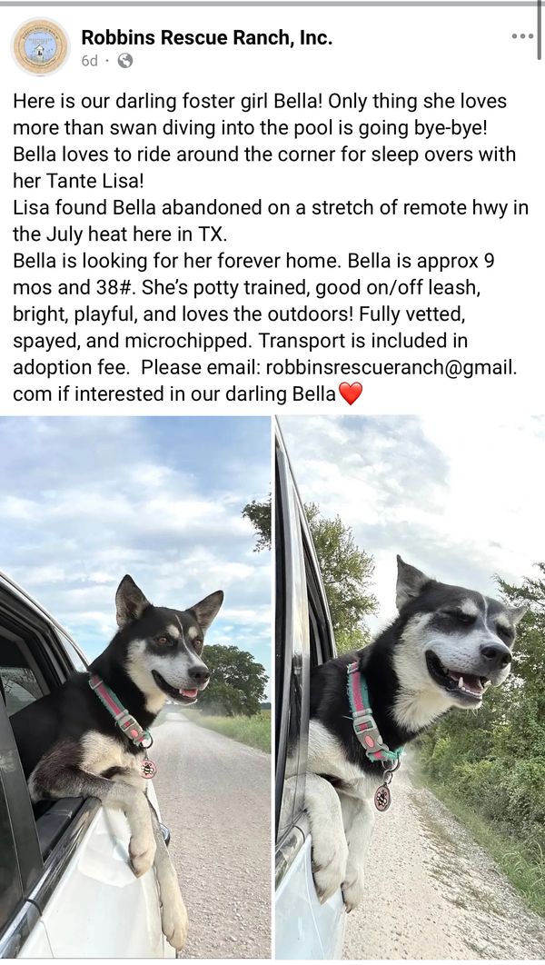 Rescue dogs Robbins Rescue Ranch Best dog rescue Adopt a rescue dog 
