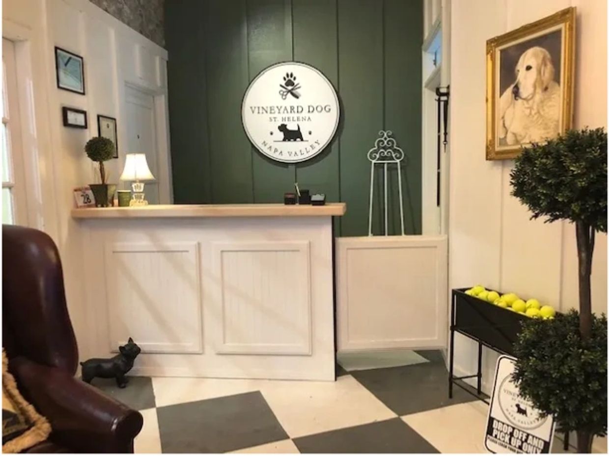 Reception in our luxuriously appointed salon. Elevate your dog's grooming experience with comfort.