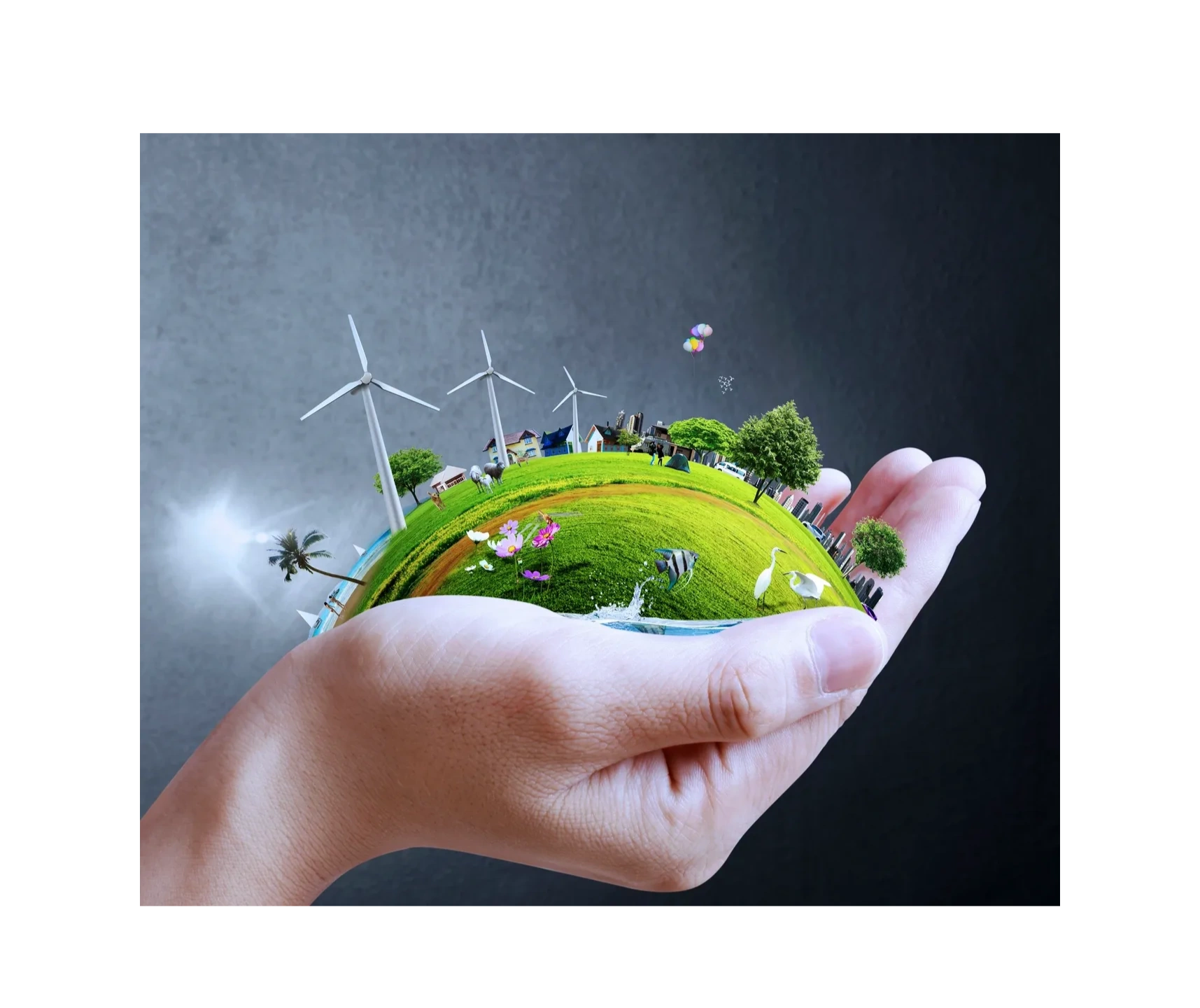 Hand holding a ball which represents a healthy planet