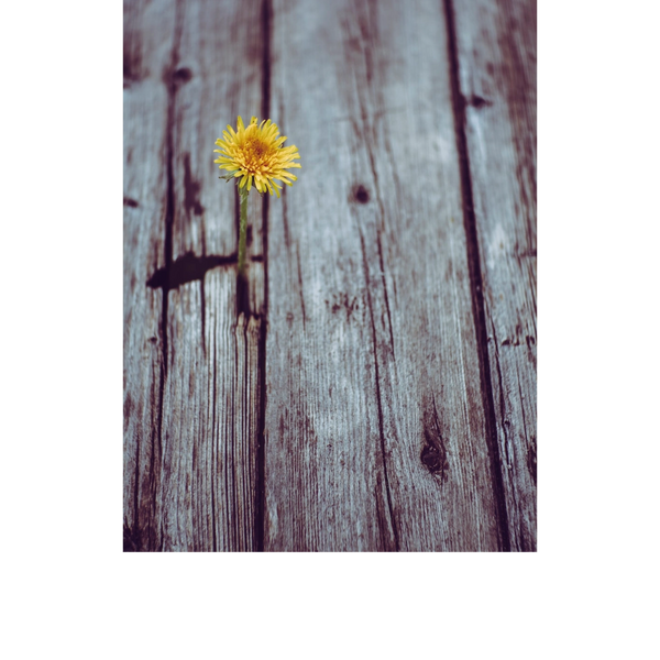 Finding meaning and purpose in all spaces. 