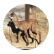 New Beginnings Farm