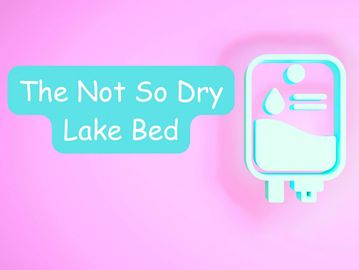 The Not So Dry Lake Bed banner 