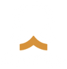 Omega Projectors