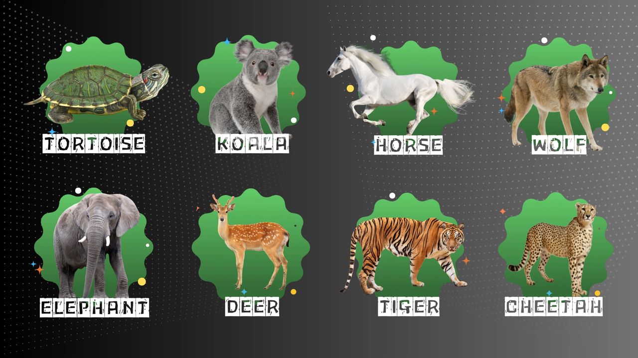 investment personalities that resonate with the characteristics of an animal.