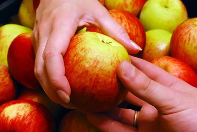 Hands holding a ripe apple.