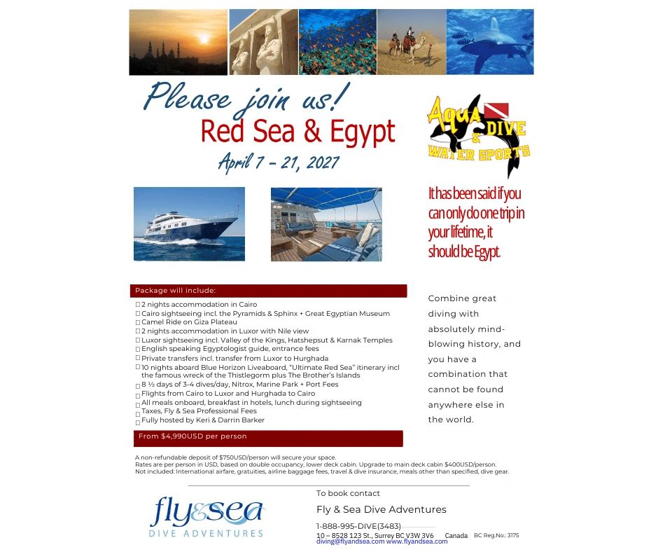Fly &amp; Sea Dive Adventures offers a Red Sea &amp; Egypt trip April 7-21, 2027 with diving and sightseeing.
