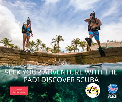 Discover Scuba/Skin Diver