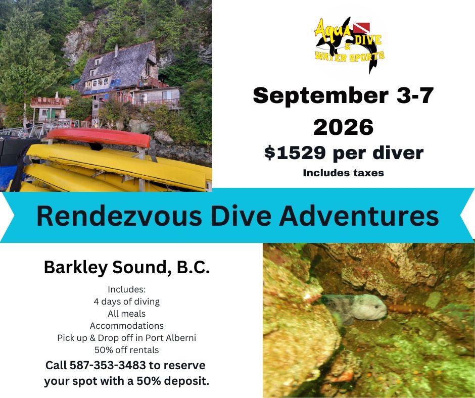 Rendezvous Dive Adventures in Barkley Sound, B.C., offers a September 2026 diving trip for $1529 per diver.