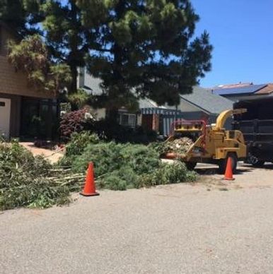 tree pruning