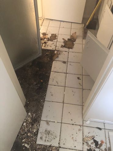 Upstairs bathroom needs new flooring.  (Tile or vinyl?)