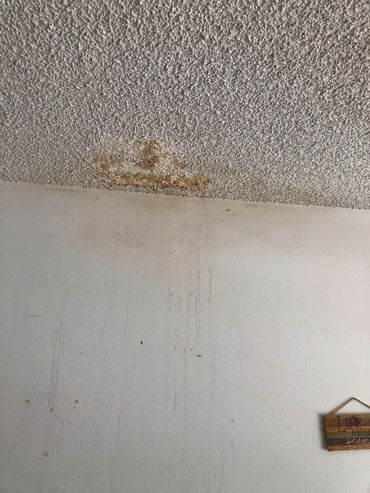 "Cat vomit" on ceiling needs to go