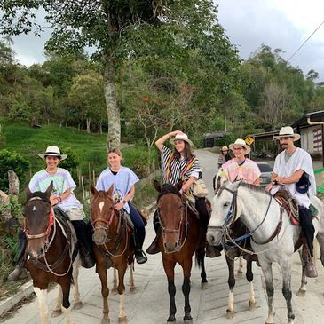 Paseos a caballo en familia!.
