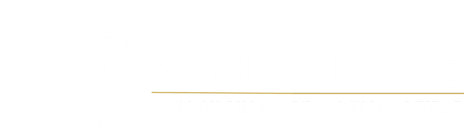 Ashim Bose Consulting, LLC