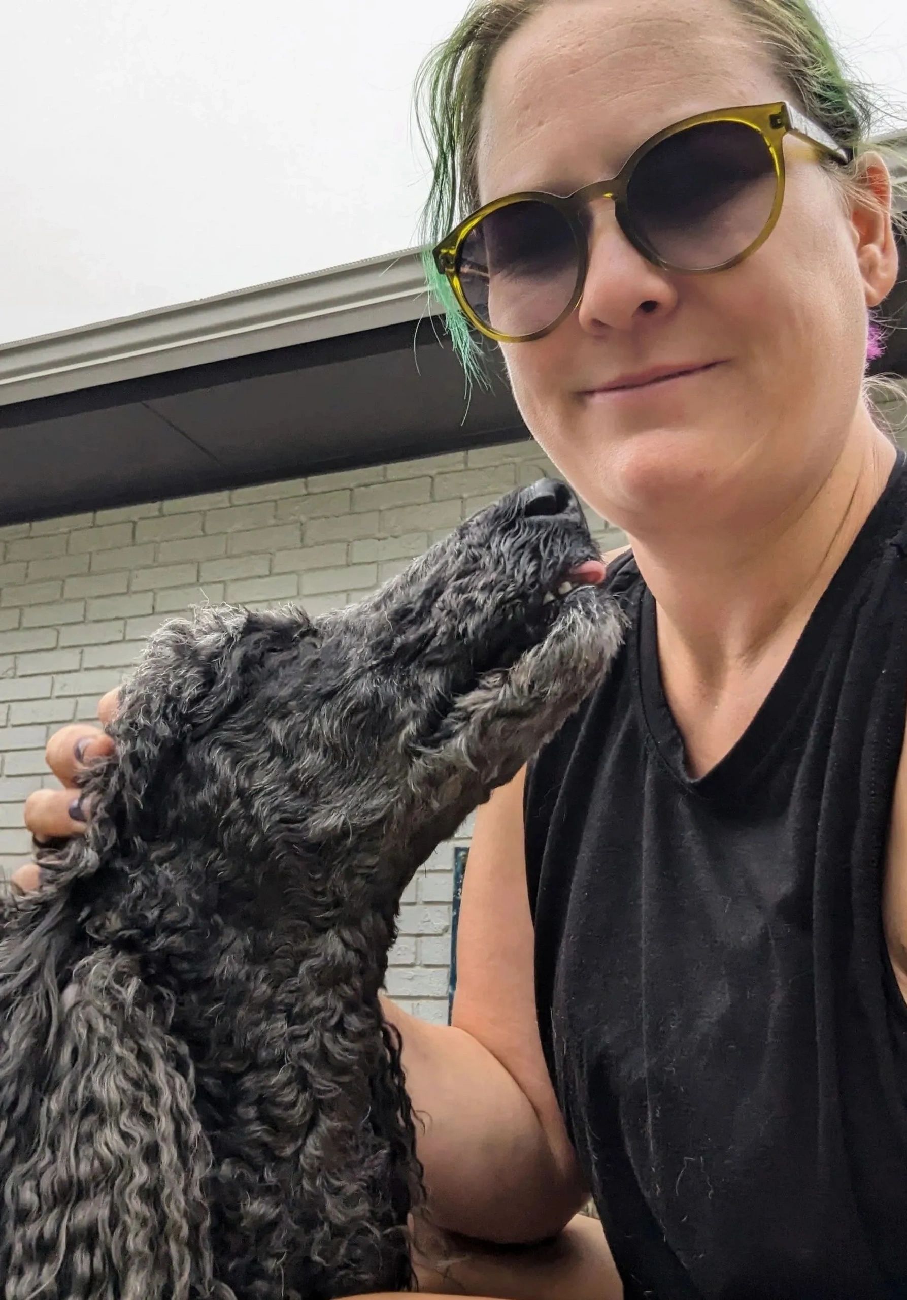 Professional Pet Care and Dog Walking Services