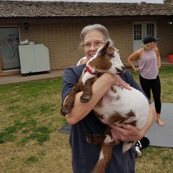 Person happily holding a baby goat outdoors.