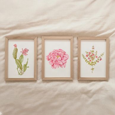 Three framed botanical watercolor paintings with pink flowers on a beige fabric background.