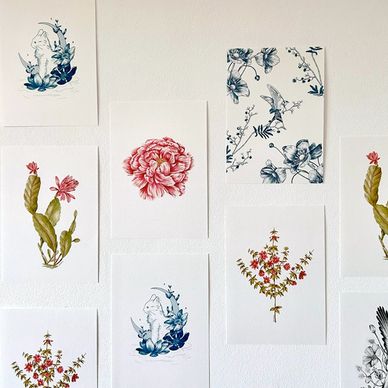 A collection of botanical and floral art prints arranged on a white wall.