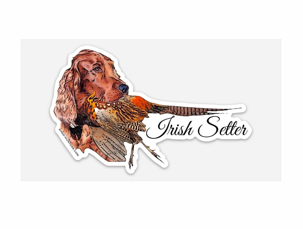 Irish Setter Bird Dog