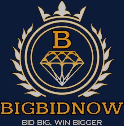Logo with a crown, diamond, and text 'BIGBIDNOW' and slogan 'Bid Big, Win Bigger'.
