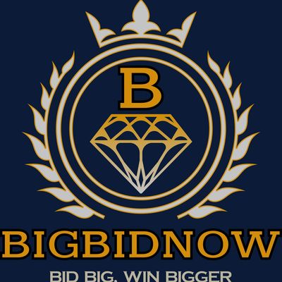 Logo with a crown, diamond, and text 'BIGBIDNOW' and slogan 'Bid Big, Win Bigger'.