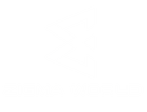Zigma World