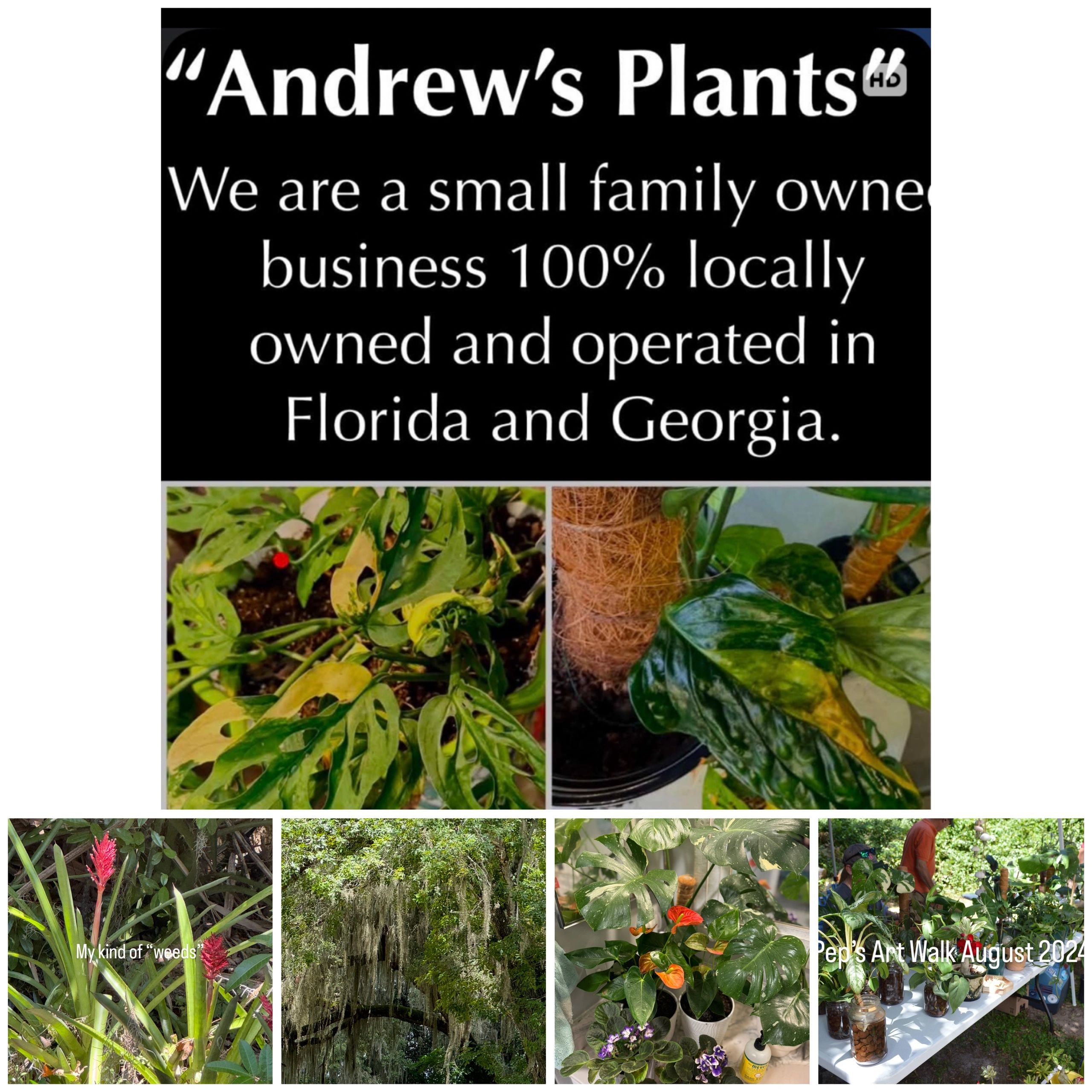 “Andrew’s Plants” 32137PLANTS.COM
LOCALLY OWN OWNED FAMILY BUSINESS CONNECTED BY PASSION & ANCESTRY