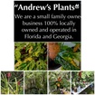 32137 Plants (formerly known as
Andrew’s Plants)