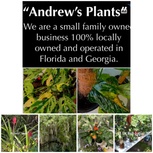 32137 Plants (formerly known as
Andrew’s Plants)