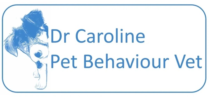 Dr Caroline Pet Behaviour Vet