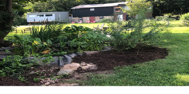 Sustainable regenerative landscape fish pond aquatic plants