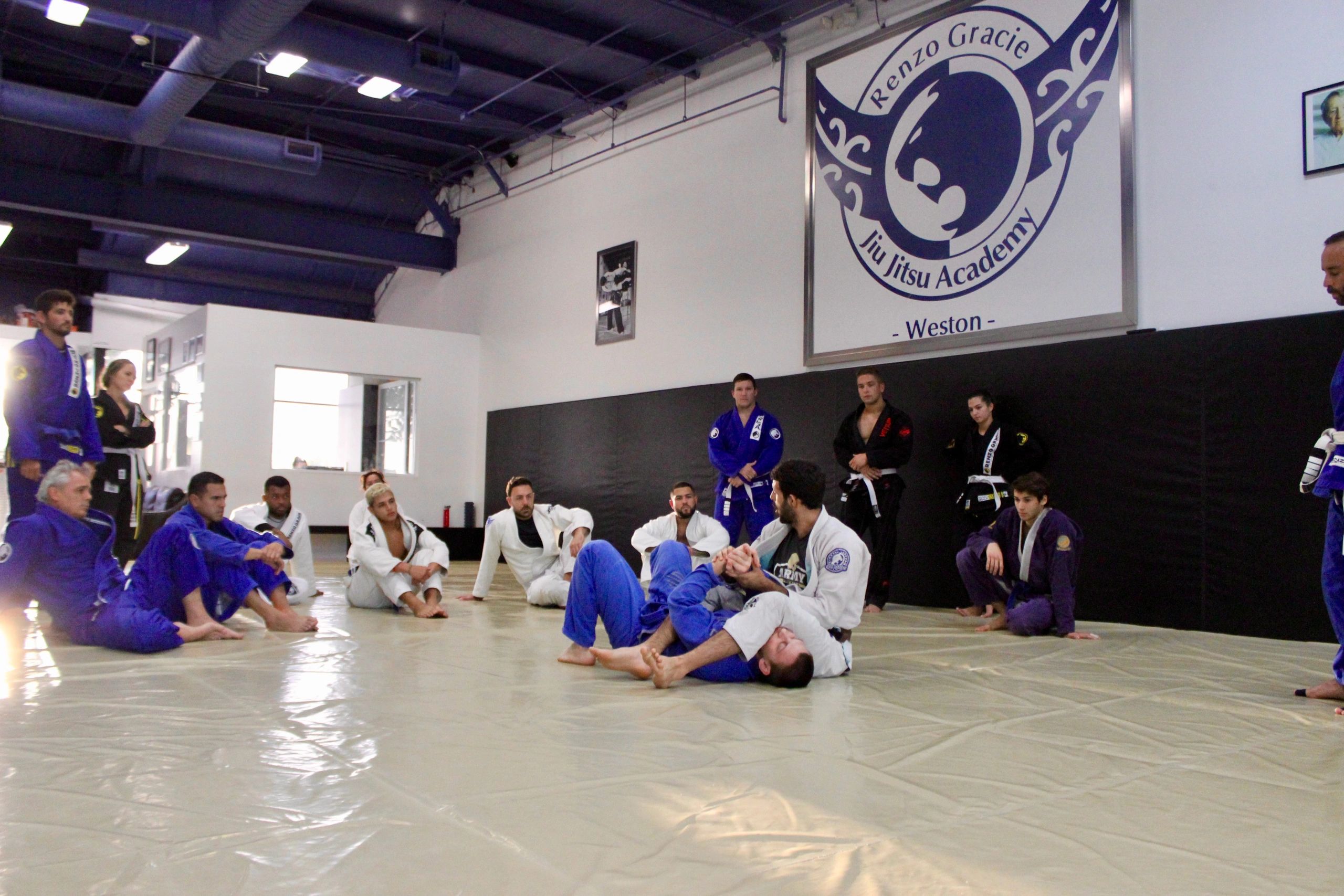 What is Brazilian Jiu-Jitsu (BJJ)? – Renzo Gracie Academy