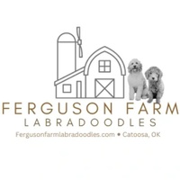 fergusonfarmlabradoodles.com