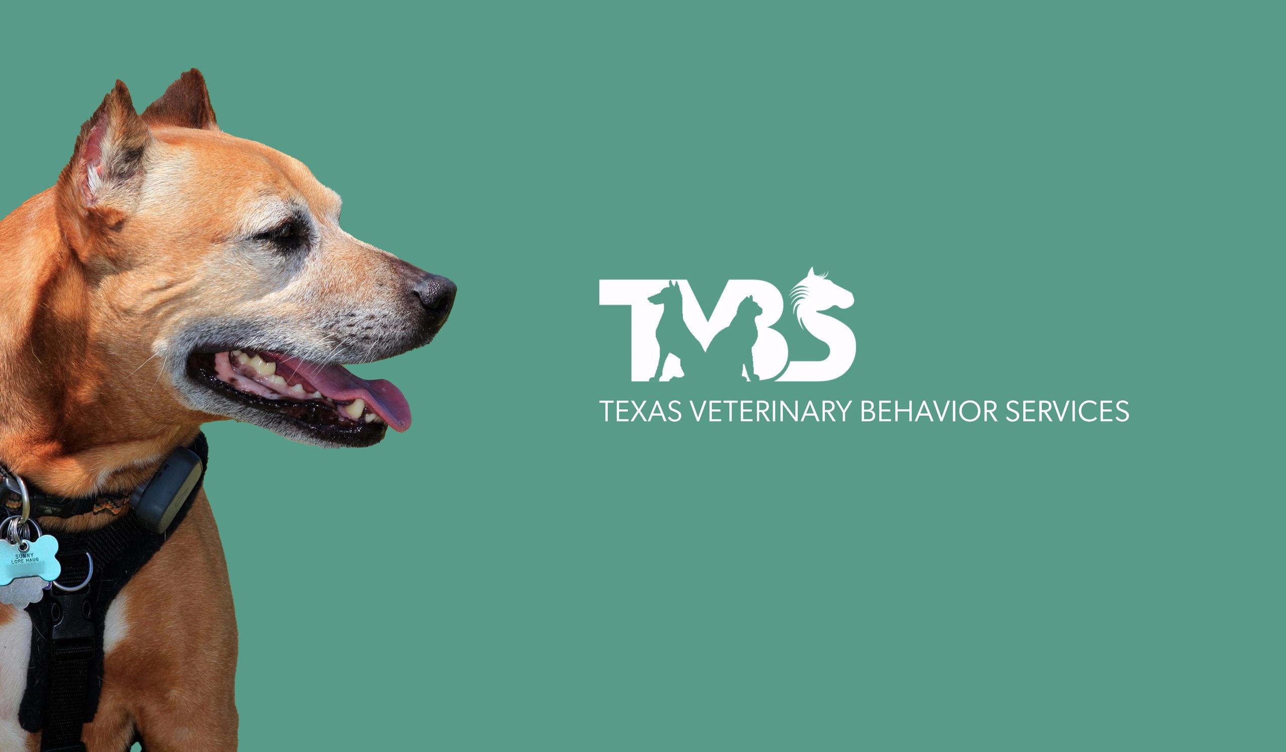 Texas Veterinary Behavior Services