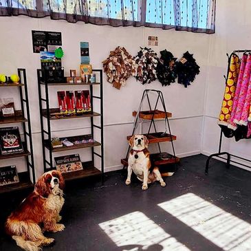 Lots of goodies to buy in the shop
Coats, treats, grooming tools and raw dog food in the freezer